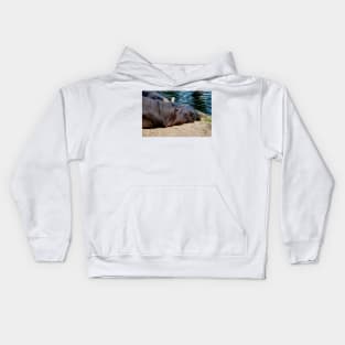 Harry The Happy Hippo Kids Hoodie